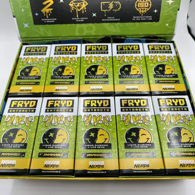 Fryd Disposable vape overview showing key features, design, pros, and potential risks